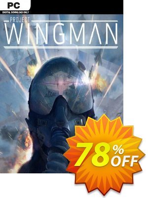 Project Wingman PC销售折让 Project Wingman PC Deal 2024 CDkeys