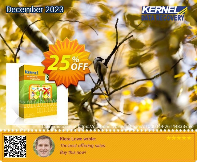 Kernel for Outlook Duplicates - Technician Lifetime License dahsyat kode voucher Screenshot