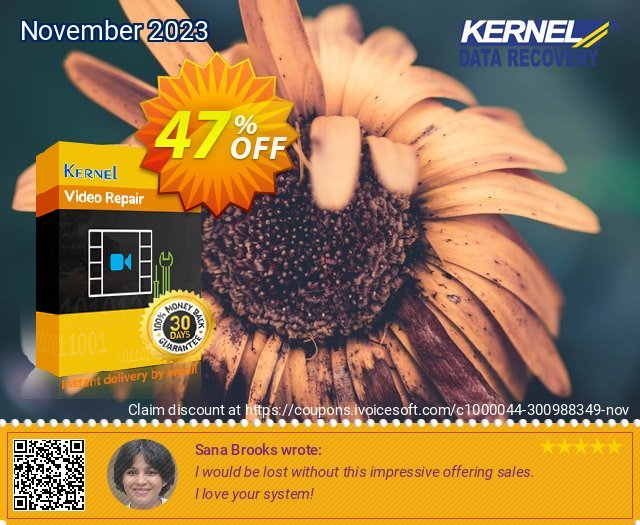 Kernel Video Suite Lifetime License 令人敬畏的 销售 软件截图