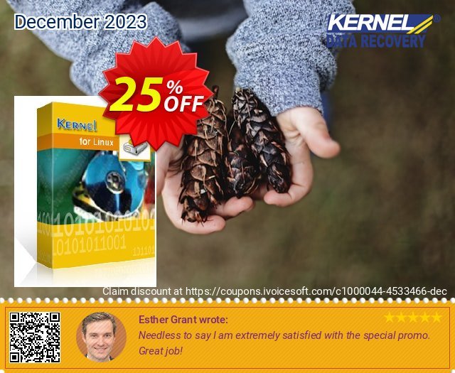 Kernel for Linux Data Recovery (Corporate) 대단하다  프로모션  스크린 샷