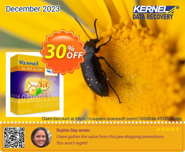 Kernel for PST to NSF Conversion - Technician License discount 30% OFF, 2022 New Year promo sales. Kernel for PST to NSF Conversion - Technician License excellent deals code 2022