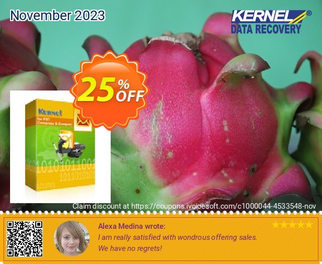 Kernel for PST Compress & Compact - Home User discount 25% OFF, 2022 Spring discount. Kernel for PST Compress & Compact - Home User exclusive sales code 2022