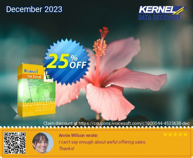 Kernel for Excel Repair (Corporate) discount 25% OFF, 2022 World Ovarian Cancer Day offer. Kernel Recovery for Excel - Corporate License hottest promotions code 2022