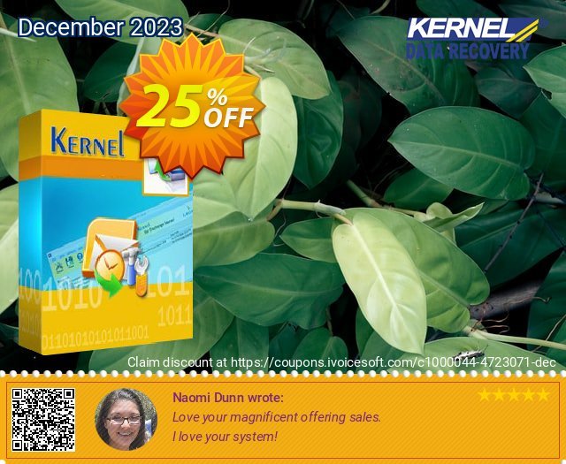 Kernel Outlook Password Recovery - Corporate License ( Best Deal for You ) 大的 折扣 软件截图