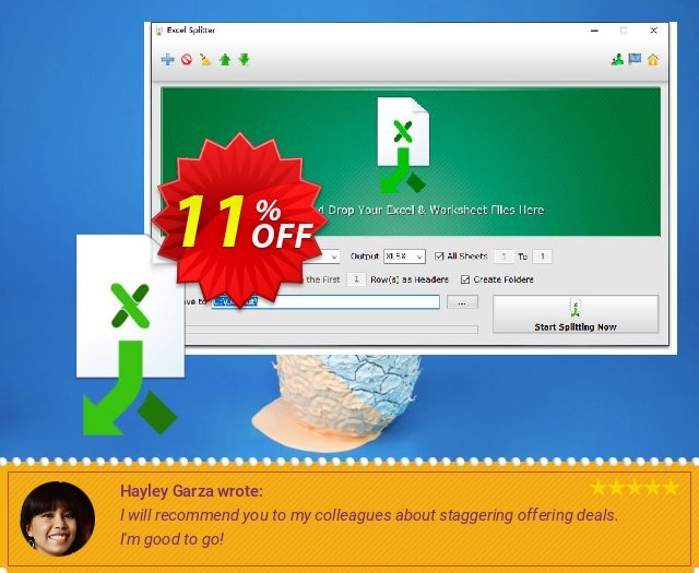 Reezaa Excel Splitter PRO 令人震惊的 销售折让 软件截图