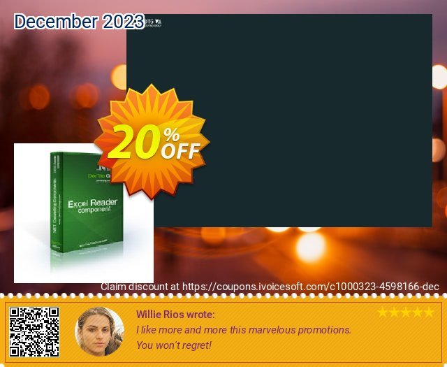 Excel Reader .NET - High-priority Support spitze Promotionsangebot Bildschirmfoto