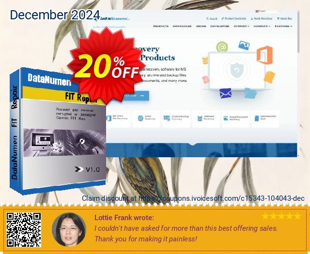 DataNumen FIT Repair discount 20% OFF, 2024 Christmas Day offering sales. 20% OFF DataNumen File Splitter, verified