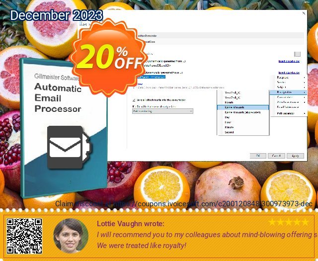 Automatic Email Processor 2 (Standard Edition) - Site License menakuntukan voucher promo Screenshot