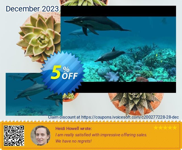 3PlaneSoft Dolphins 3D Screensaver khas voucher promo Screenshot