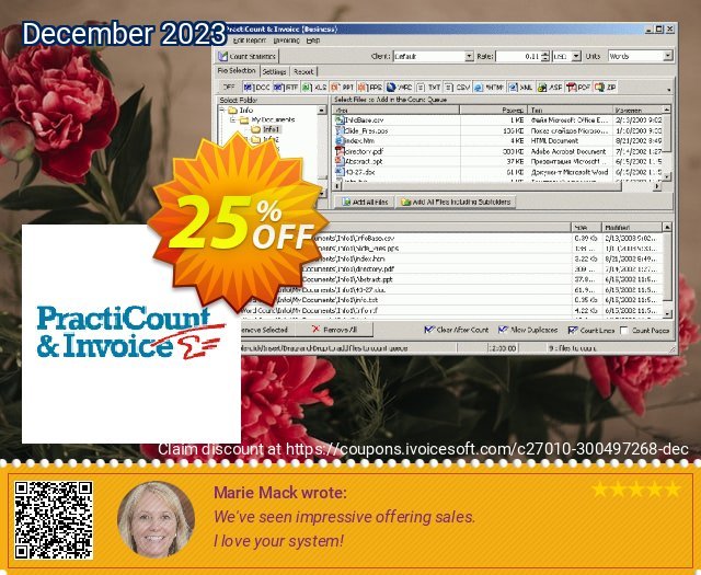 PractiCount and Invoice 4.0 Standard Edition World License 令人敬畏的 销售折让 软件截图