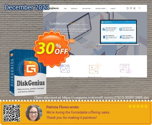 DiskGenius Standard Edition (Family License) spitze Preisnachlass Bildschirmfoto