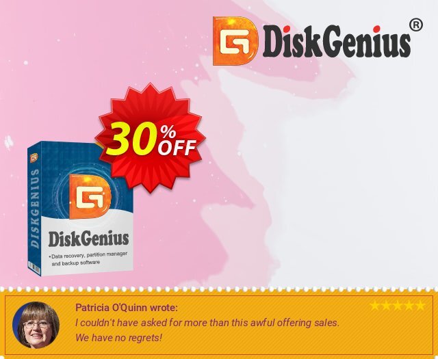 DiskGenius Standard 可怕的 产品销售 软件截图