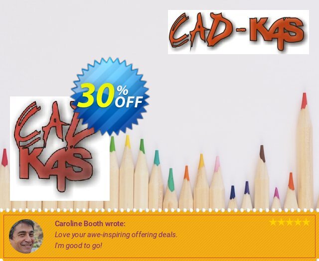 CADKAS DXF kleine Linien in Kreisbögen 可怕的 产品销售 软件截图