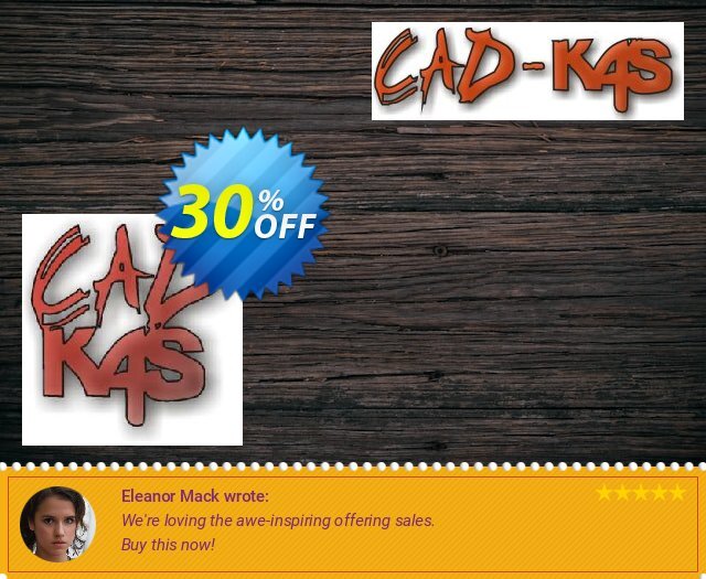 CADKAS Icon Editor Deutsch 可怕的 优惠券 软件截图