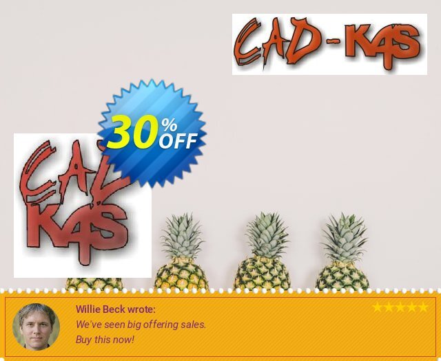 CADKAS PDF sichere Schwärzung luar biasa baiknya penawaran promosi Screenshot
