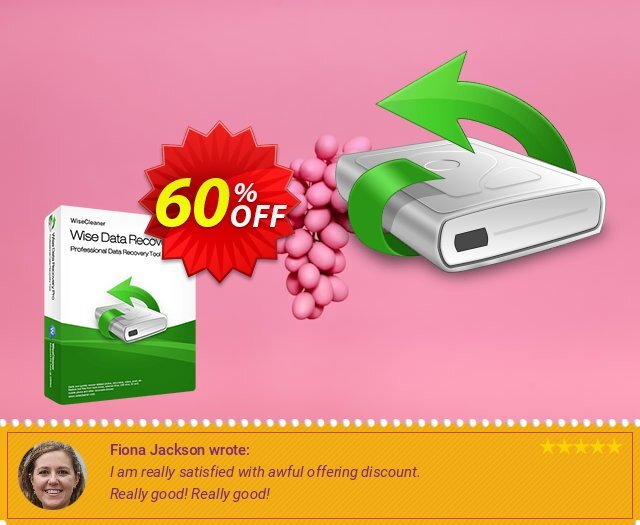 Wise Data Recovery Pro (1 Month / 1 PC) discount 50% OFF, 2024 Easter Day discount. Daily