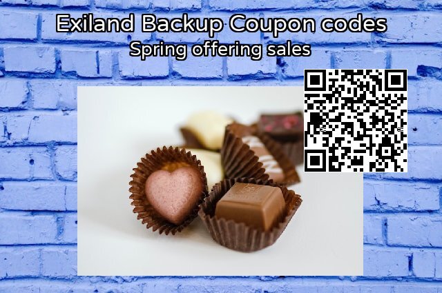 Exiland Backup Coupon code for 2025 Daylight Saving